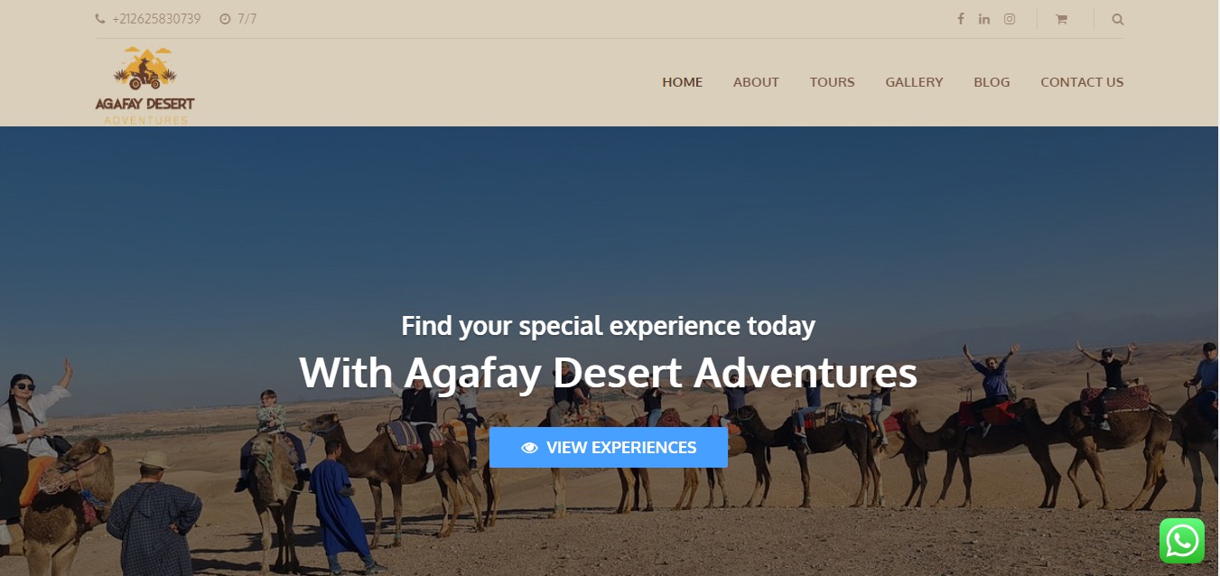 creation website in morocco